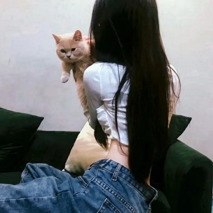 执法者们粤语